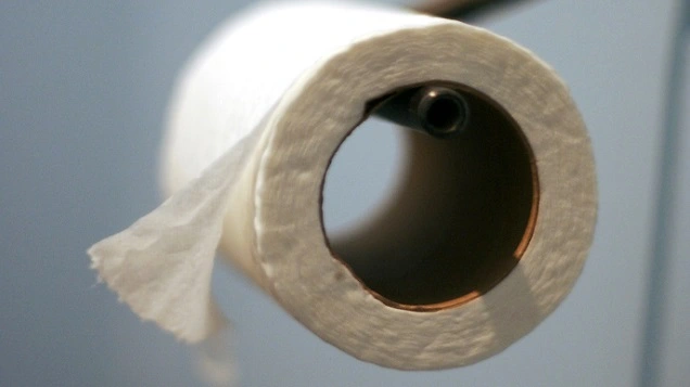 circumference of toilet paper roll