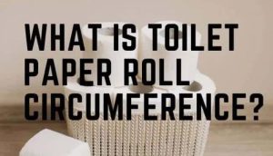 Toilet Paper Roll Circumference