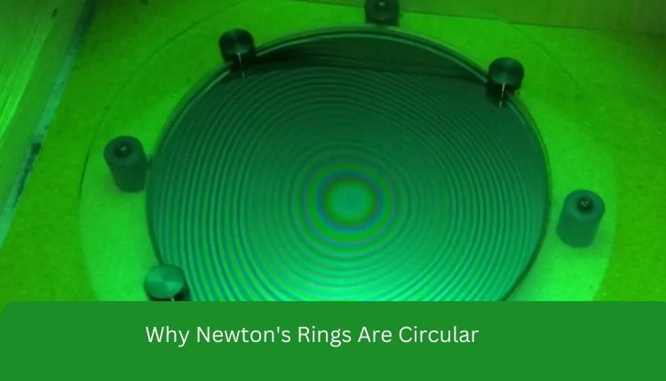 Why Newton's Rings Are Circular