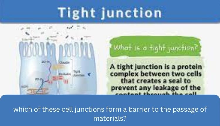 which of these cell junctions form a barrier to the passage of materials