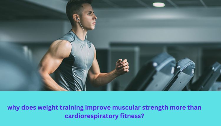 why does weight training improve muscular strength more than cardiorespiratory fitness